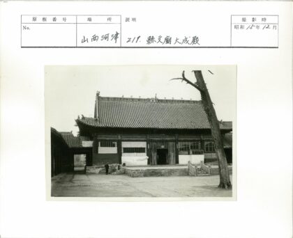 传统瓦顶建筑前大树与人入口.jpg