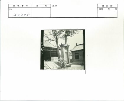 传统瓦顶石碑与古树庭院景观.jpg