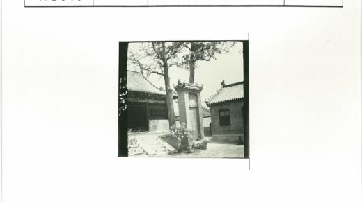 传统瓦顶石碑与古树庭院景观.jpg