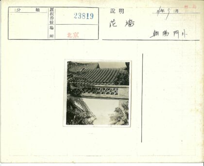 传统瓦顶砖瓦与树叶光影.jpg