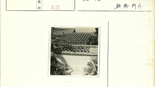 传统瓦顶砖瓦与树叶光影.jpg