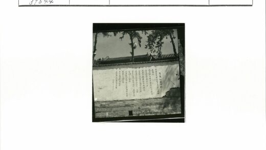 传统瓦顶绿树晴空墙景.jpg