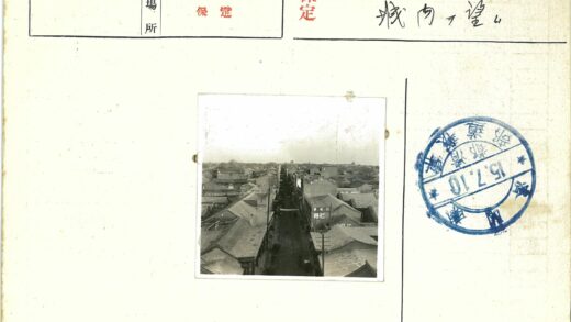 传统瓦顶街道鸟瞰图.jpg