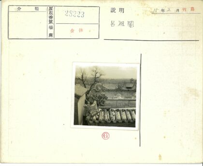 传统瓦顶龙雕与云空远楼.jpg