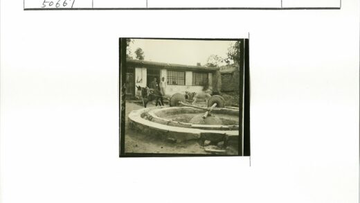 传统石磨与乡村建筑景观.jpg