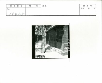 传统砖砌建筑与树影窗景.jpg