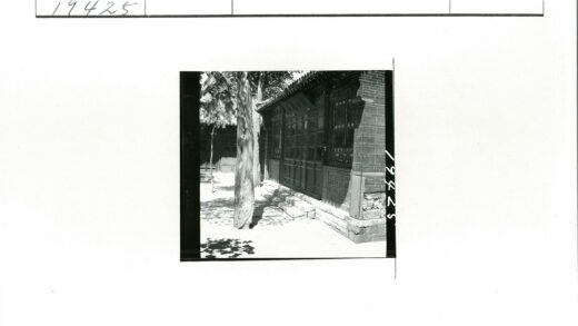 传统砖砌建筑与树影窗景.jpg