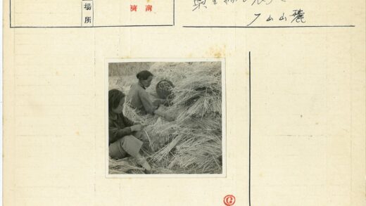 传统稻草手工分类场景.jpg
