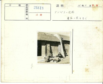 传统竹艺与茅草屋生活.jpg