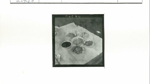 传统美食与餐具展示.jpg