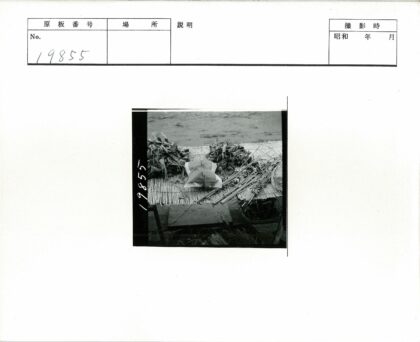 传统草药与编织包裹户外展示.jpg