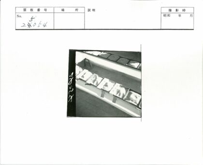 传统谷物与粉末存储容器展示.jpg
