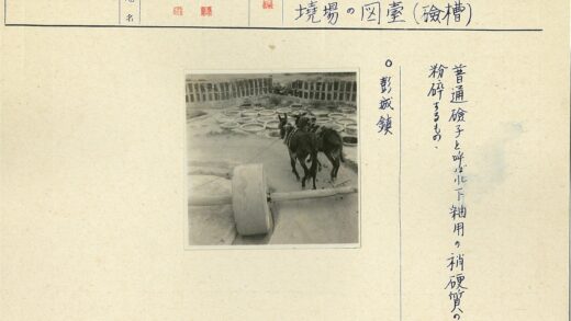 传统驴拉石磨工作场景.jpg