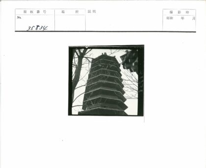 低角度仰视多层宝塔冬枝景.jpg