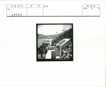 体育场人群与旗帜俯瞰.jpg