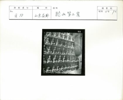 佛像石墙与自然植物.jpg