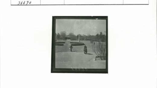 修剪整齐的公园中央步道景观.jpg