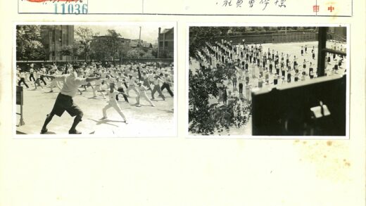 俯瞰人群同步运动树枝遮挡.jpg