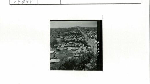 俯瞰传统屋顶绿树城市远山.jpg