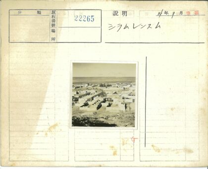 俯瞰白色村庄与平原景观.jpg