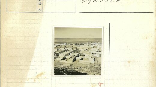 俯瞰白色村庄与平原景观.jpg