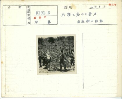 倒木旁的人群与丘陵枯树.jpg
