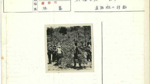 倒木旁的人群与丘陵枯树.jpg