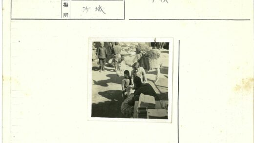 儿童与驴子互动的户外市集.jpg