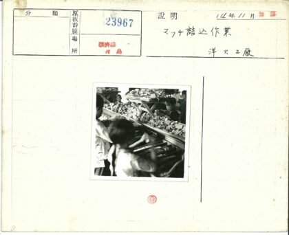 儿童分类物品工作照.jpg