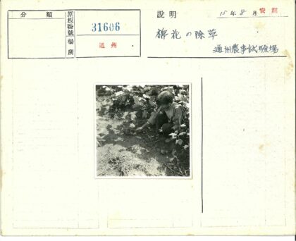 儿童园艺乐趣.jpg