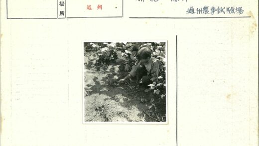 儿童园艺乐趣.jpg