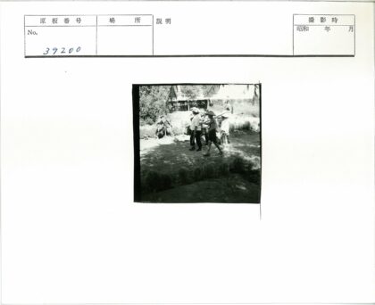 儿童园艺活动自然探索.jpg