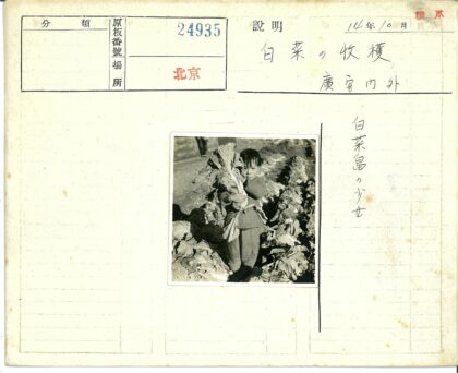 儿童手持绿叶蔬菜田园风光.jpg