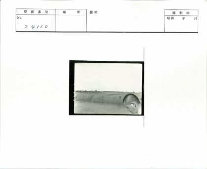 光头男子湖畔田野背影.jpg