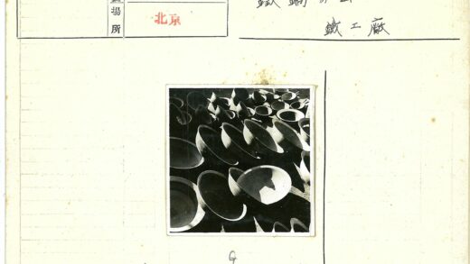 光影交织的圆形花盆艺术.jpg