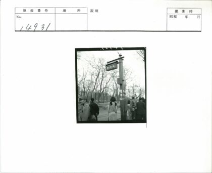 公园冬日路牌与人群.jpg