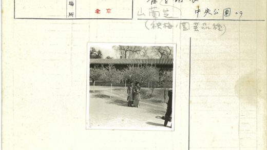 公园夫妇与瓦顶建筑.jpg