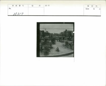 公园散步赏花街景.jpg