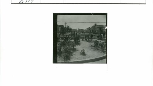 公园散步赏花街景.jpg