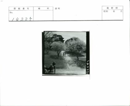 公园春色与建筑剪影.jpg