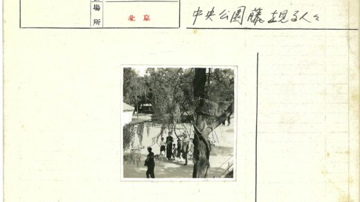公园树下人群散步风景.jpg