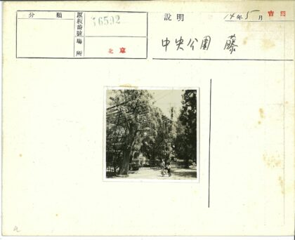 公园树林金属结构人物合影.jpg