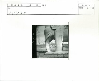 公园石象雕像与枯树小径.jpg