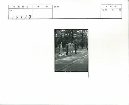 公园绿荫小路散步风景.jpg