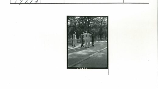 公园绿荫小路散步风景.jpg