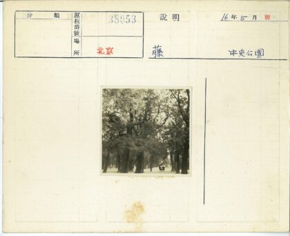 公园绿荫长凳风景.jpg