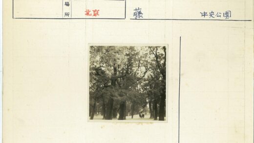 公园绿荫长凳风景.jpg
