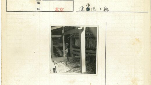 公鸡稻草木结构编织设备.jpg