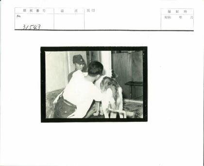 兽医与助手为狗狗洗澡护理.jpg