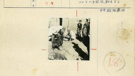 兽医检查户外猪群.jpg